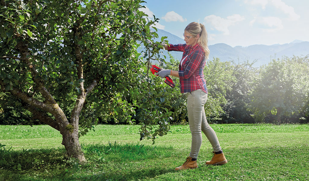 woman cuts branches with einhell pruning shears