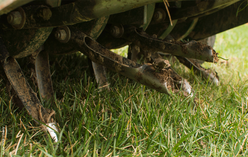 A core aerator drilling large holes in a lawn.