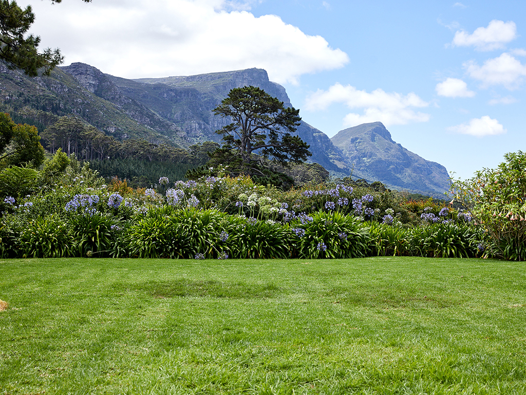 Ein Garten mit Ausblick auf die Berge.