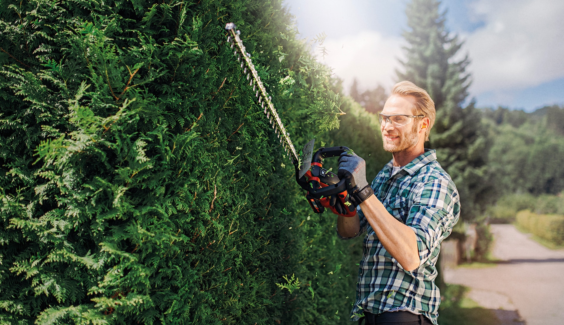 a man cuts his hedge with the hedge trimmer