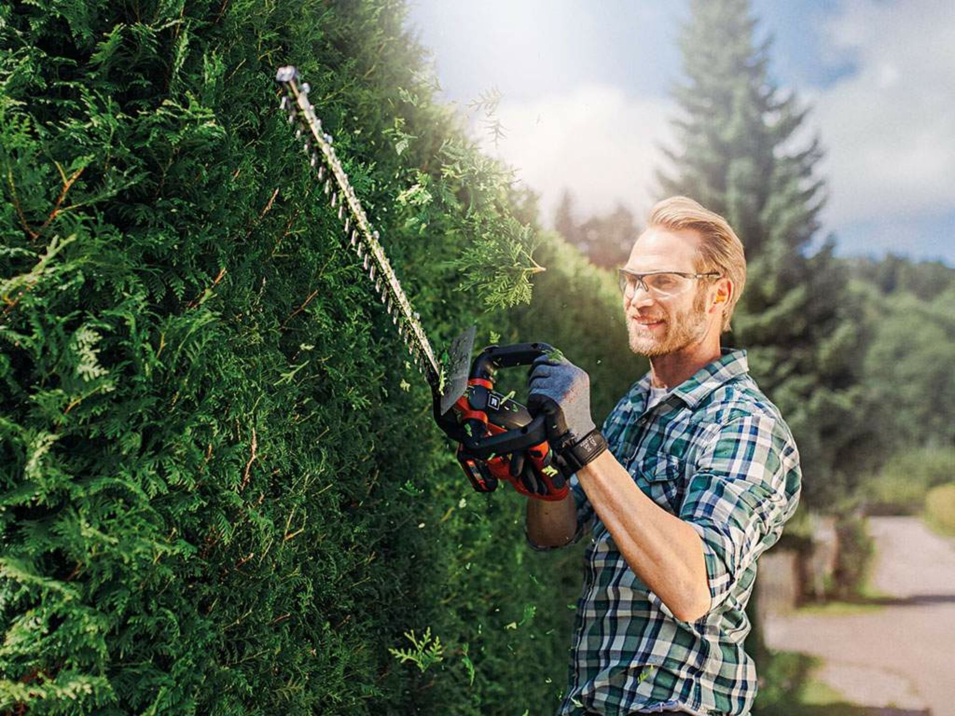 a man cuts a hedge with the hedge trimmer