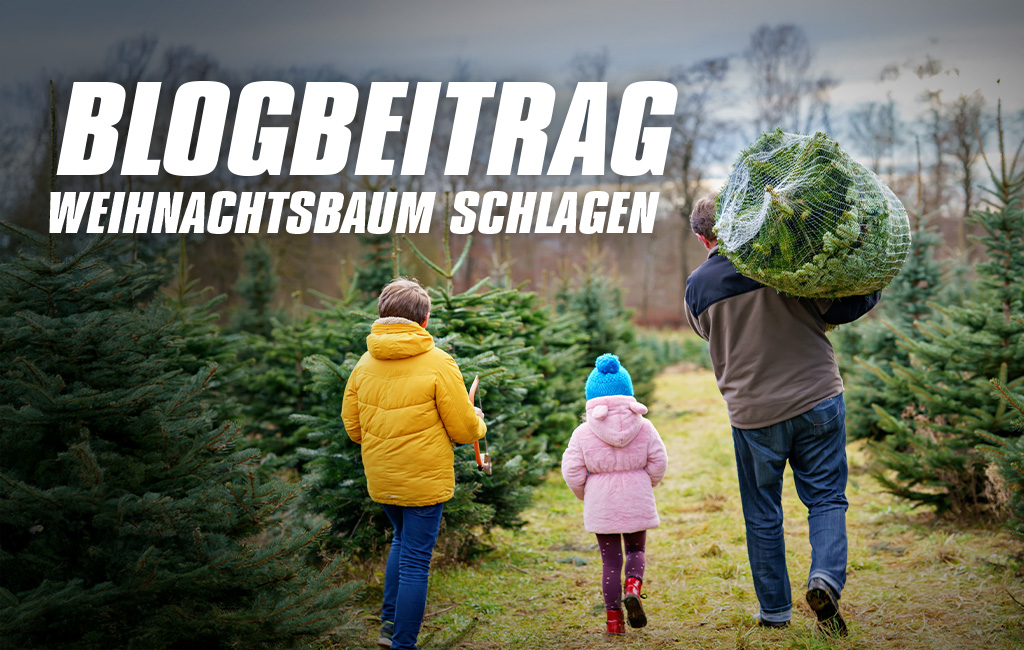 Eine Familie trägt einen frisch geschlagenen Weihnachtsbaum durch eine Tannenplantage, mit dem Titel "Blogbeitrag: Weihnachtsbaum schlagen".