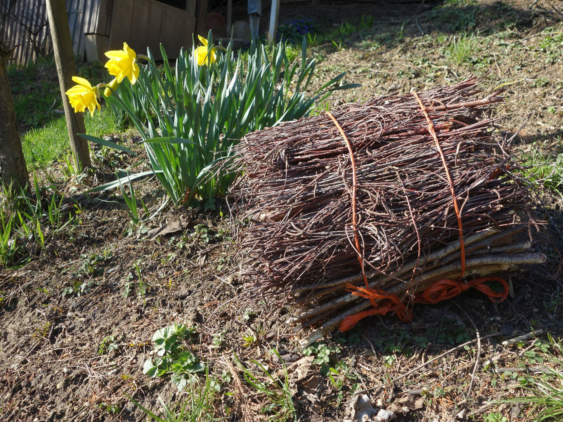 Firewood Guide: Tips for cutting, storing and heating