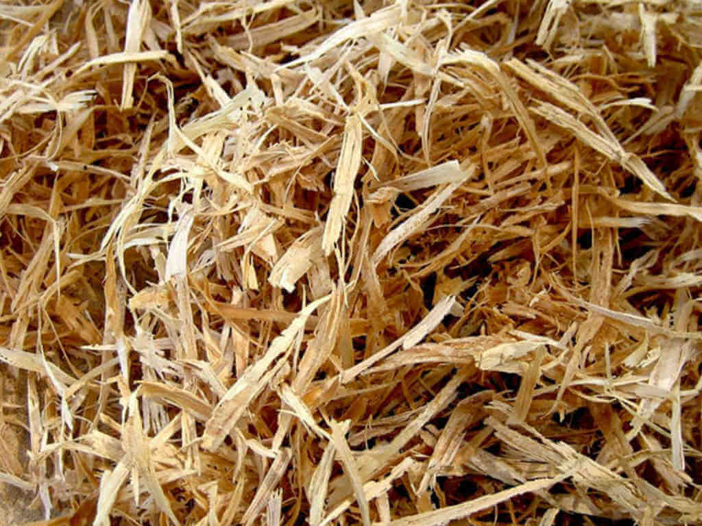 wood shavings