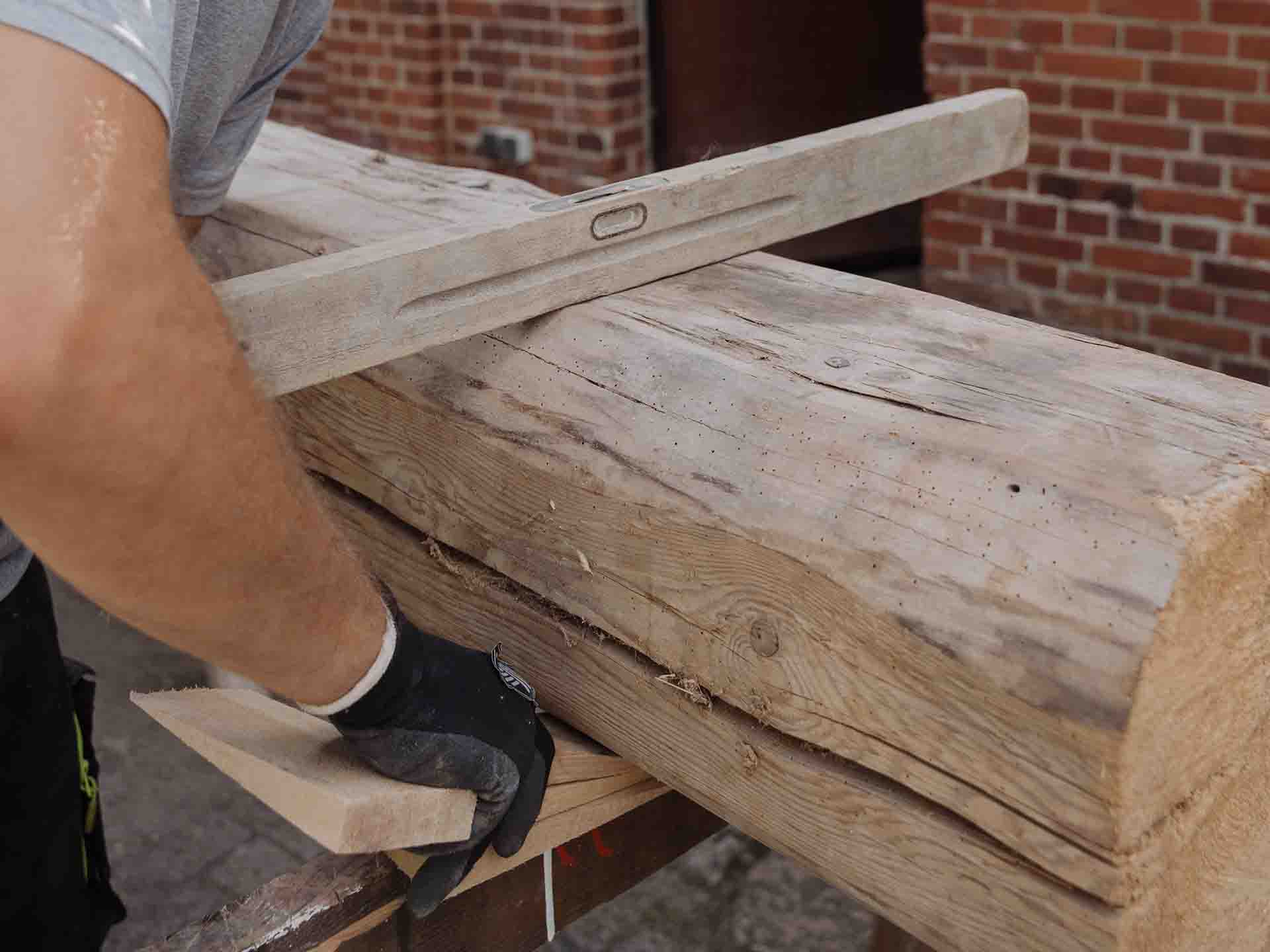 chocks are placed in a tree trunk