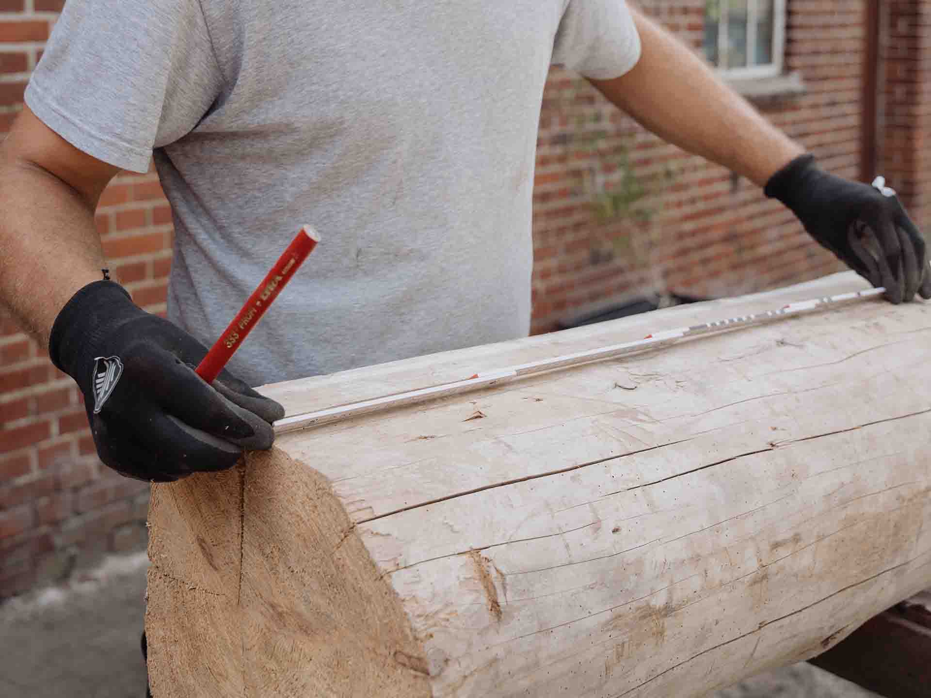 Round wooden tree trunk is measured with a meter stick