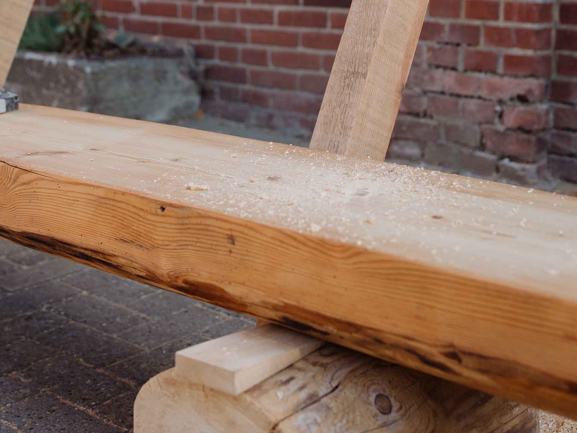 sawdust on the tree trunk which was secured with a chock